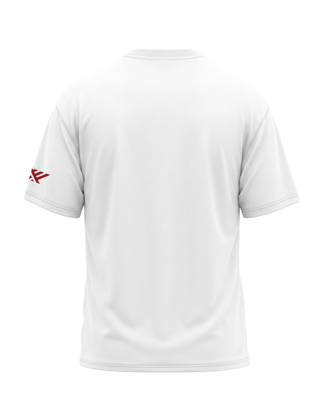 PBKS Oversized Legacy T-Shirt White
