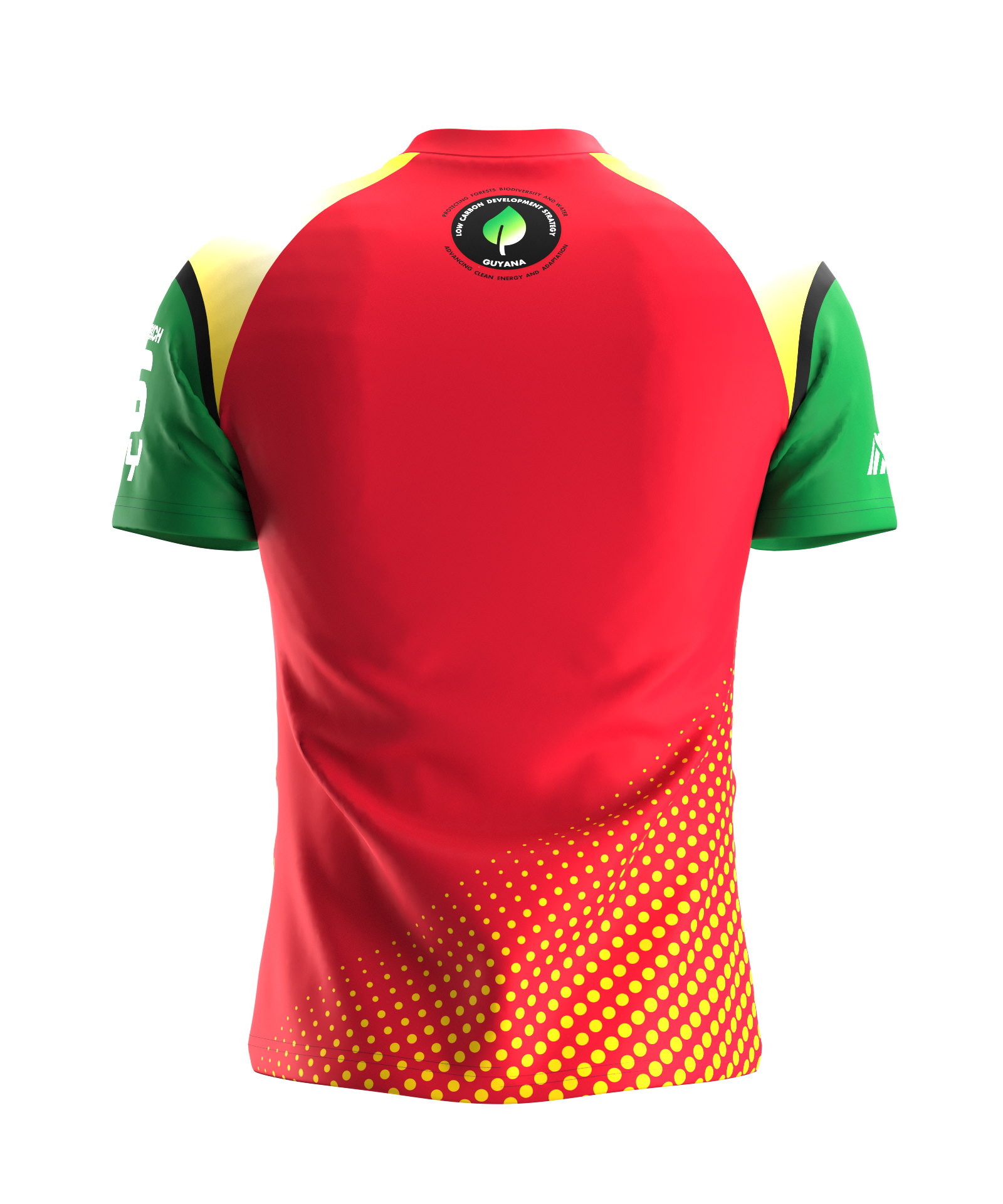 Guyana Amazon Warriors Match Jersey